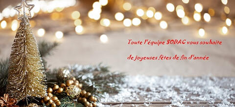 Bonnes fêtes de fin d'année